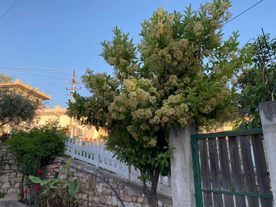 Guesthouse Xhimi Ksamil Exterior photo