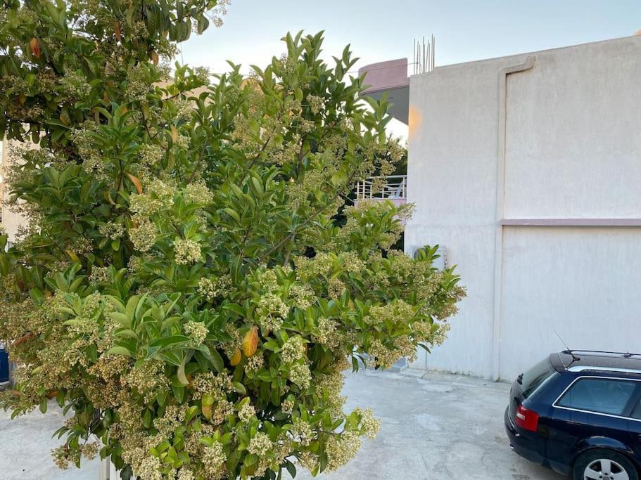 Guesthouse Xhimi Ksamil Exterior photo