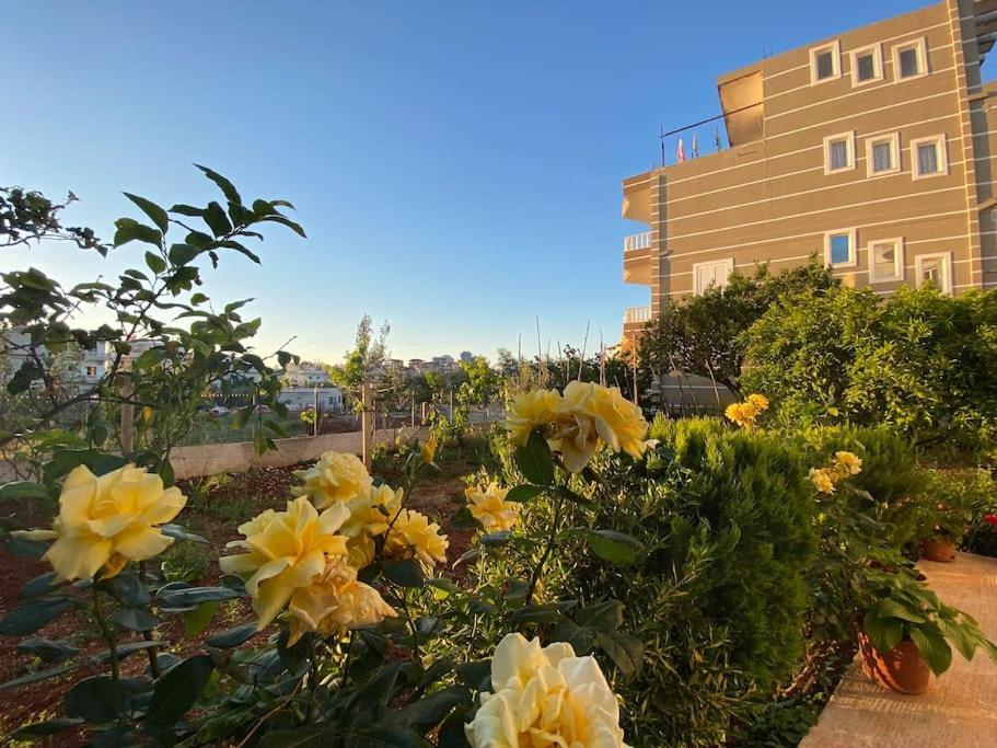 Guesthouse Xhimi Ksamil Exterior photo