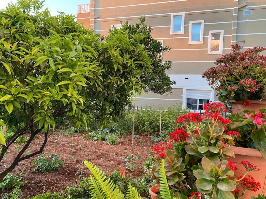 Guesthouse Xhimi Ksamil Exterior photo